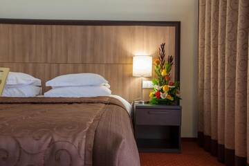 Стандартный двухместный номер с 1 кроватью в Отеле Park-Hotel Kidev